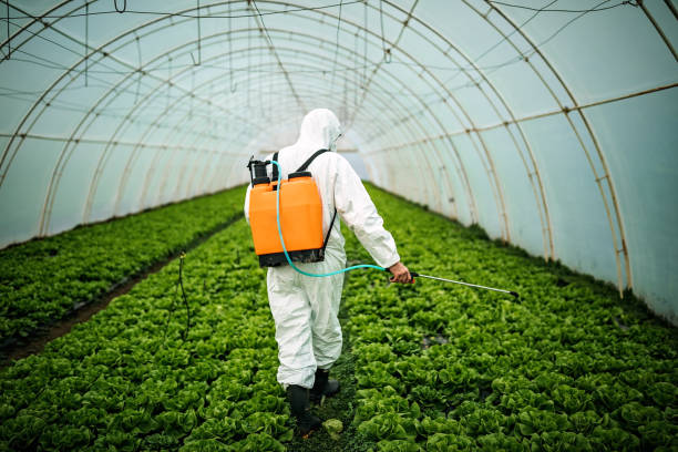 Best Mosquito Control Services  in Uniondale, NY